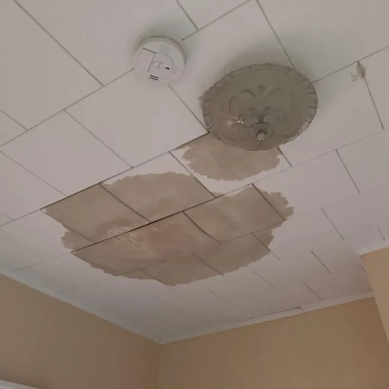 Ceiling Water Damage Repair in Winchester, MA