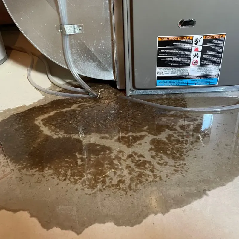 Pipe Burst and Leak Restoration in Winchester, MA